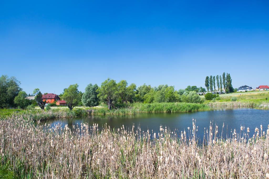 Zloty Staw Bed & Breakfast Borkowo  Екстериор снимка